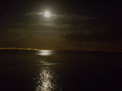 [IMG_8665.JPG]
