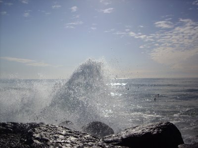 [IMG_7511.JPG]