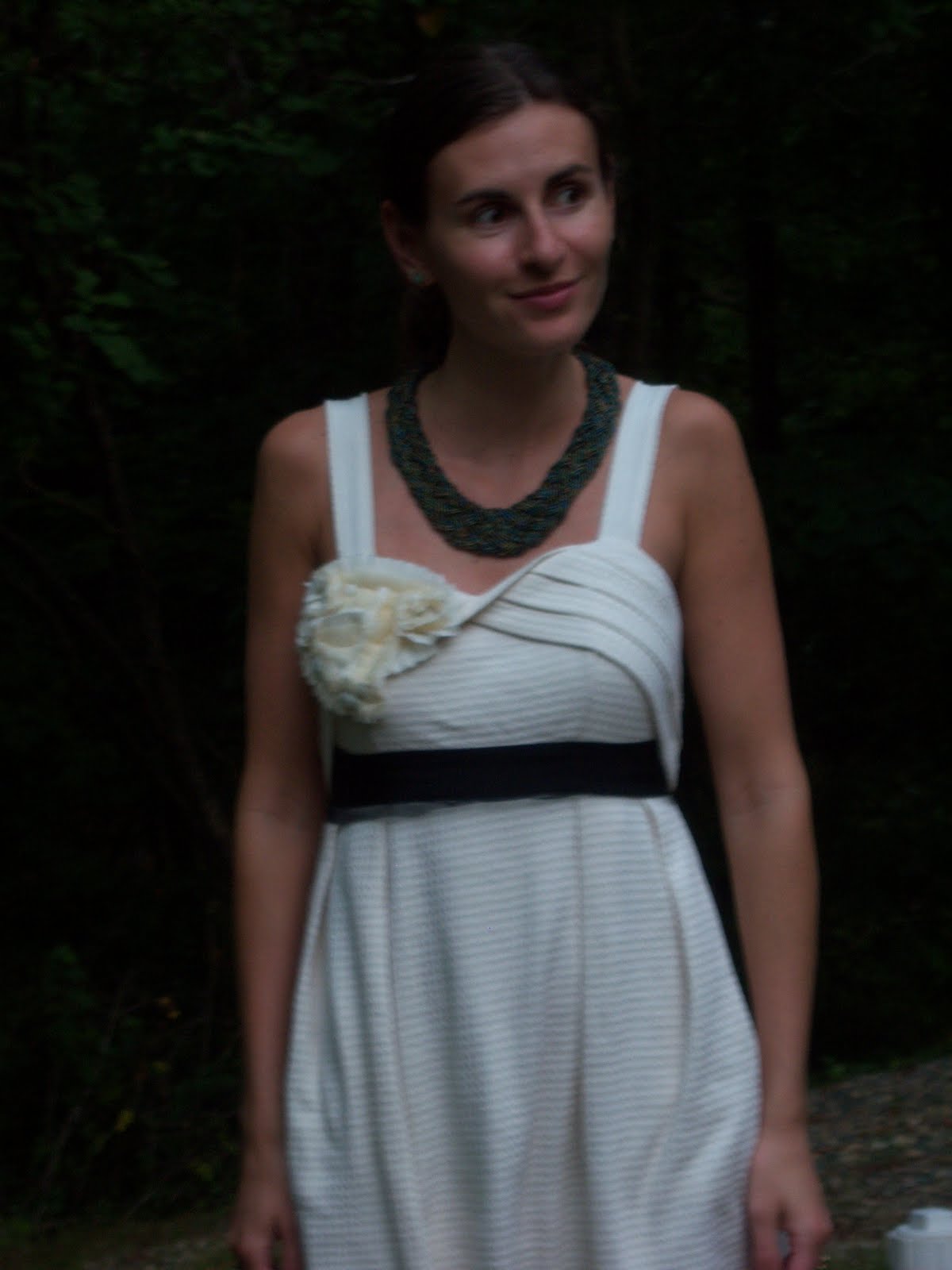 anthropologie breakfasting dress