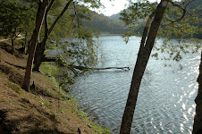 Lago Javary