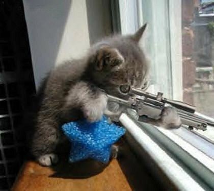 [kitty+sniper.bmp]
