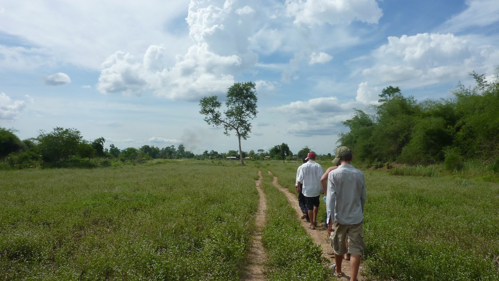 Cambodia Fields