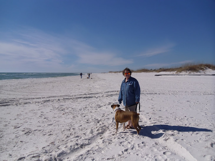 Mexico Beach, FL