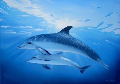 THE GALACTIC BUTTERFLY: DELFINES