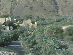 منظر من الوادي يظهر فيه بيت الحجرة الأثري وسط المئات من أشجار النخيل
