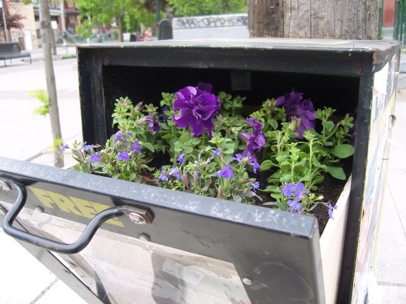 [2009-05-28-C.jpg]