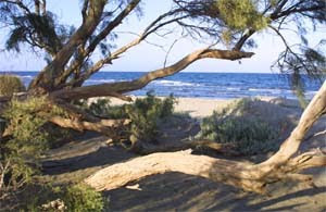 area hamata wadi protected gemal el km2