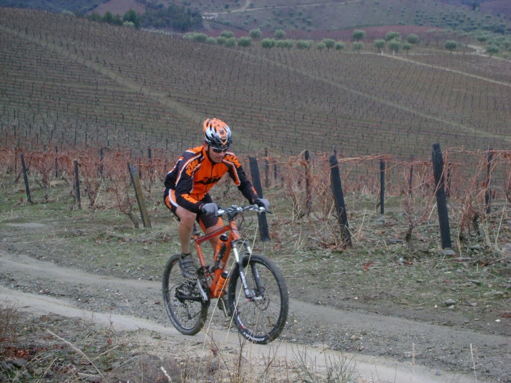 [btt+horta+(13).JPG]