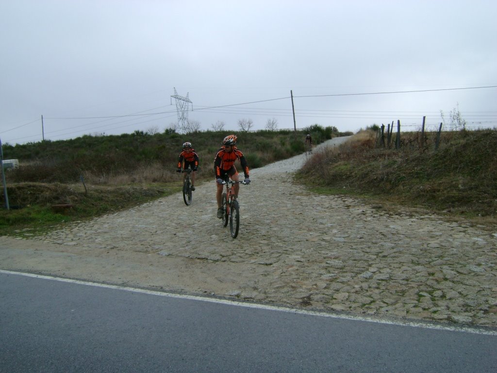 [btt+horta+(22).JPG]