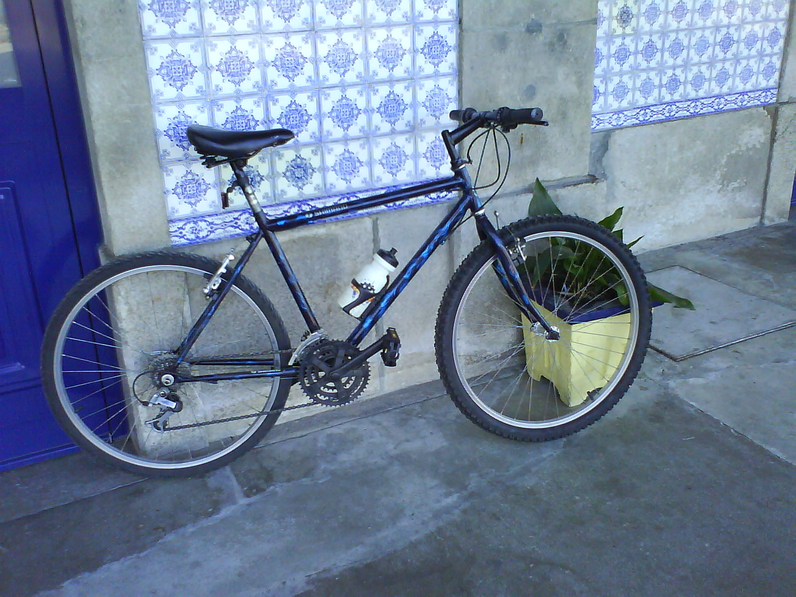 [DSC01113.JPG]