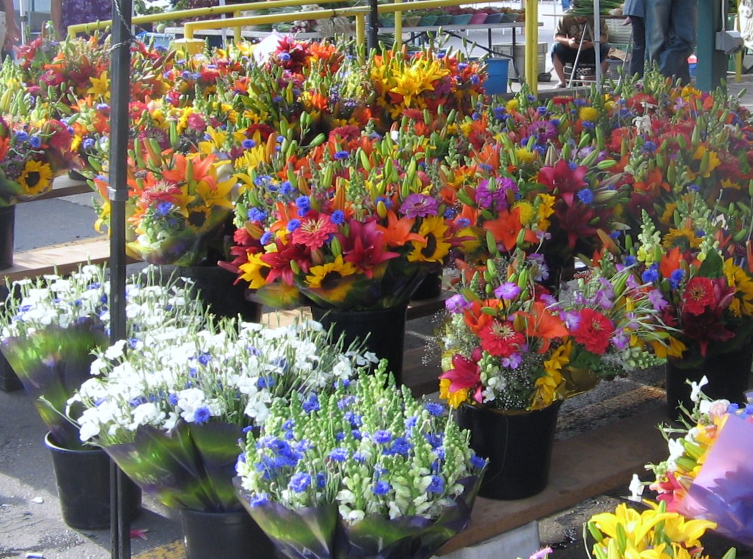 Arctic Garden Studio Minneapolis Farmers Market