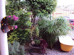 Jardim da Casasótão