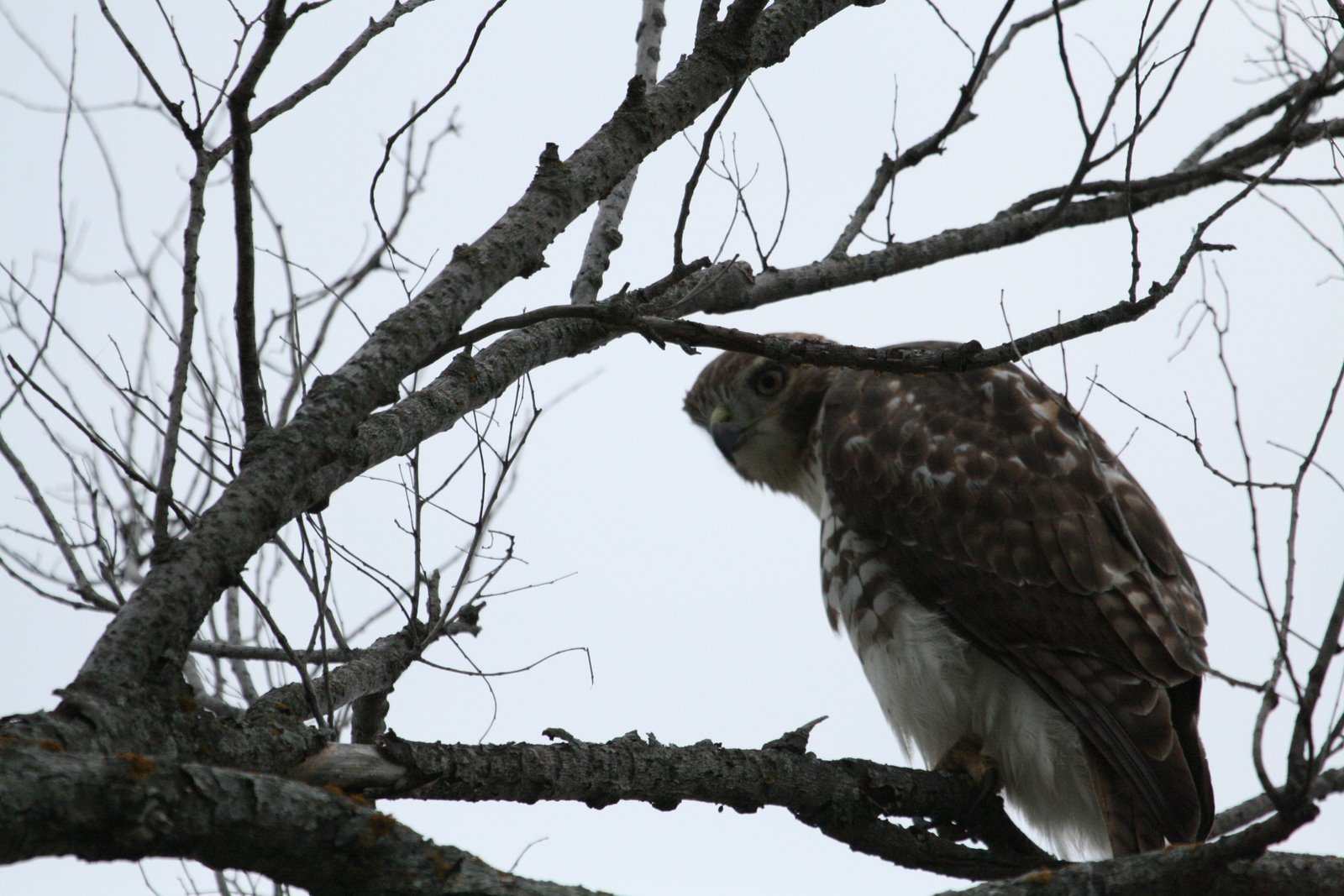 [Copy+(2)+of+IMG_9475.jpg]