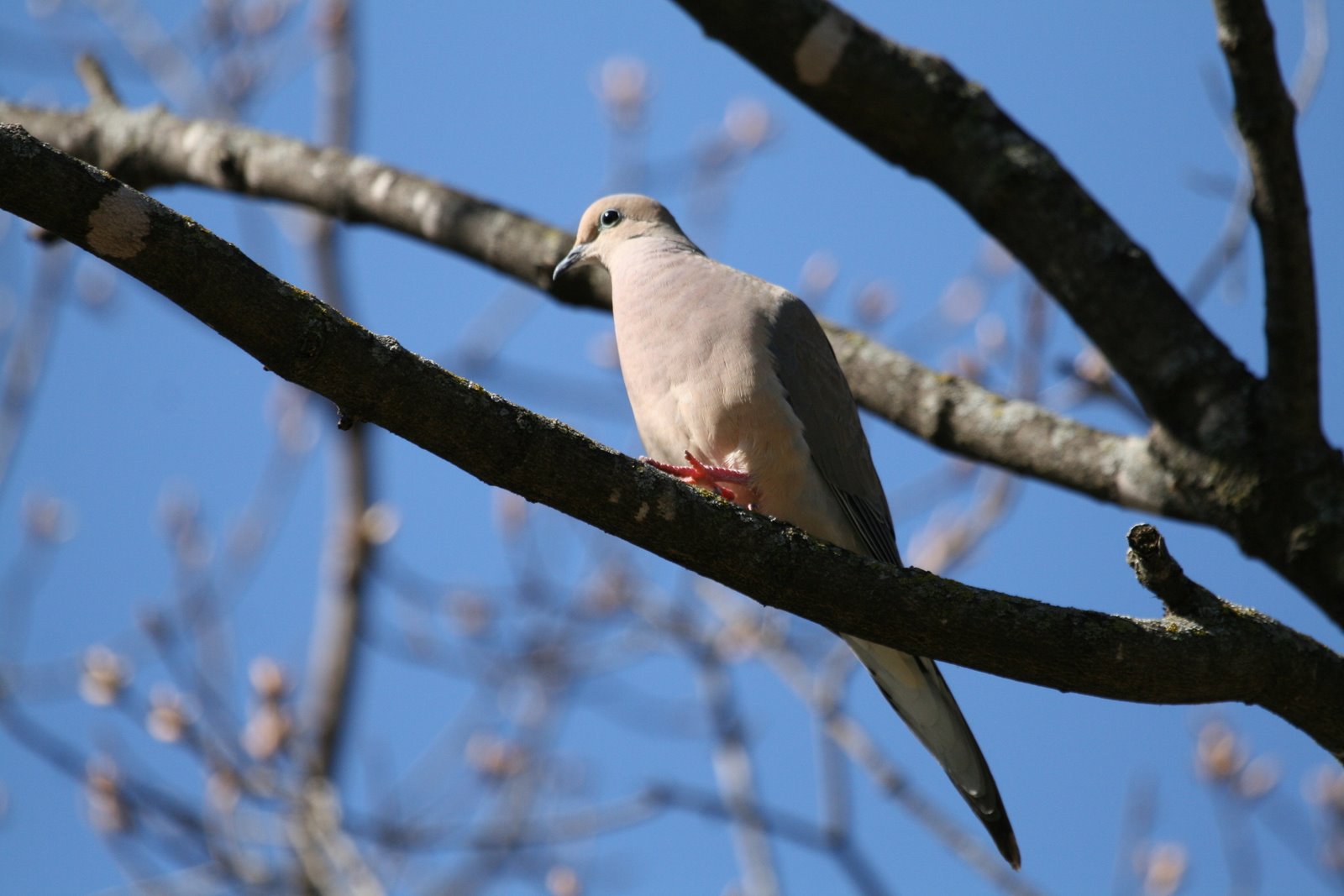 [IMG_3824.jpg]