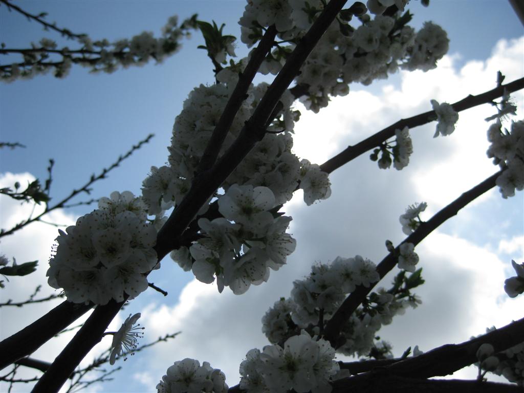 [Imagem+044+(Large).jpg]