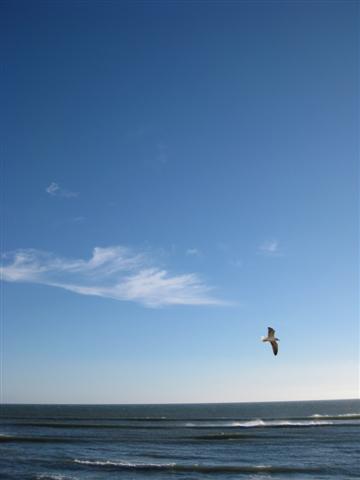 [Imagem+024+(Small).jpg]