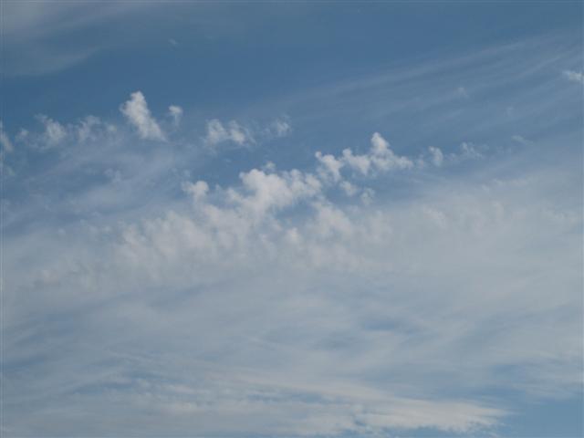 [Imagem+006+(Small).jpg]