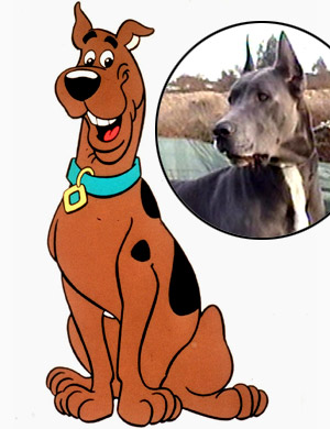 [3.scoobydoo.jpg]