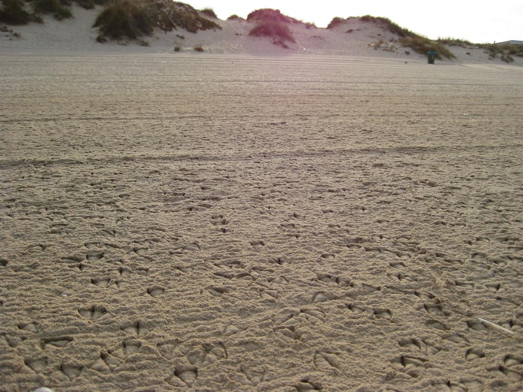 [5-Imagem+049+(Large).jpg]