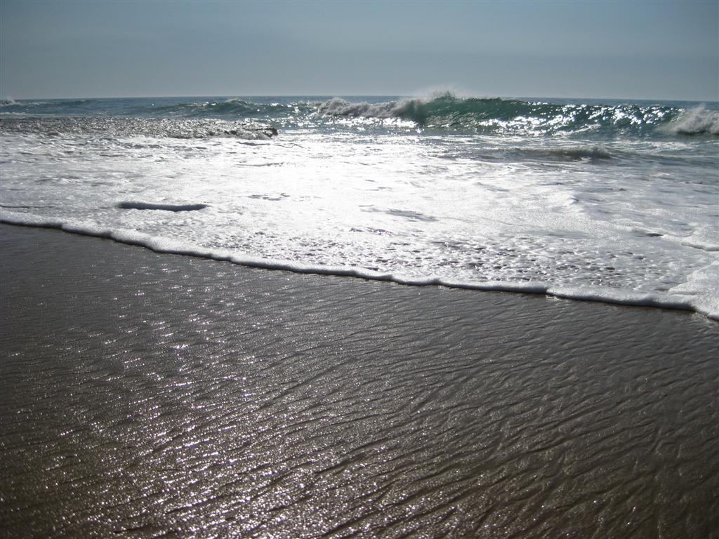 [Imagem+050+(Large).jpg]