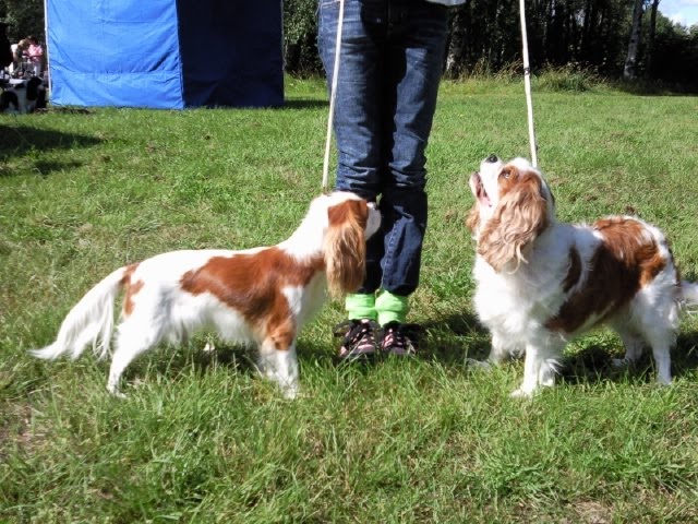 [Foto0581-797171.jpg]