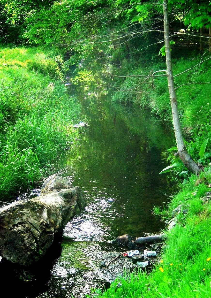 [4.17+Kilkenny+Canal.JPG]