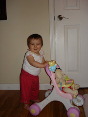 Addisons First Stroller