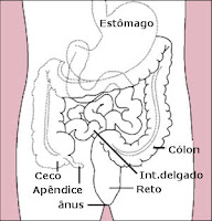 Localização do apêndice