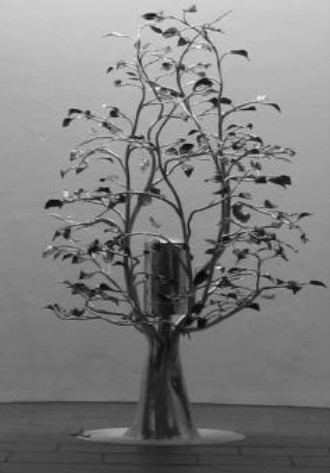 [tree.JPG]