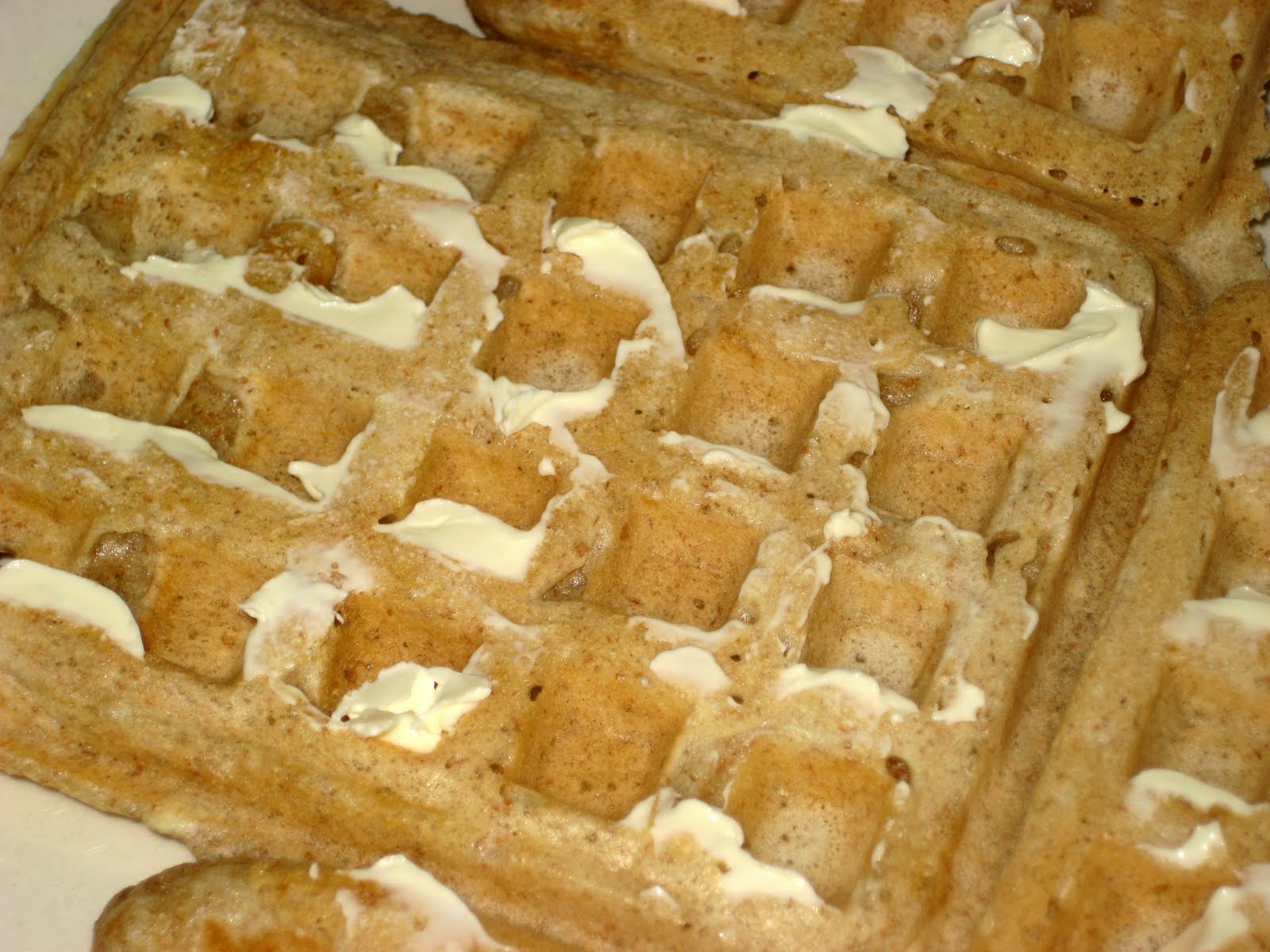 21st Century Urban Pioneers The Perfect Whole Wheat Waffle