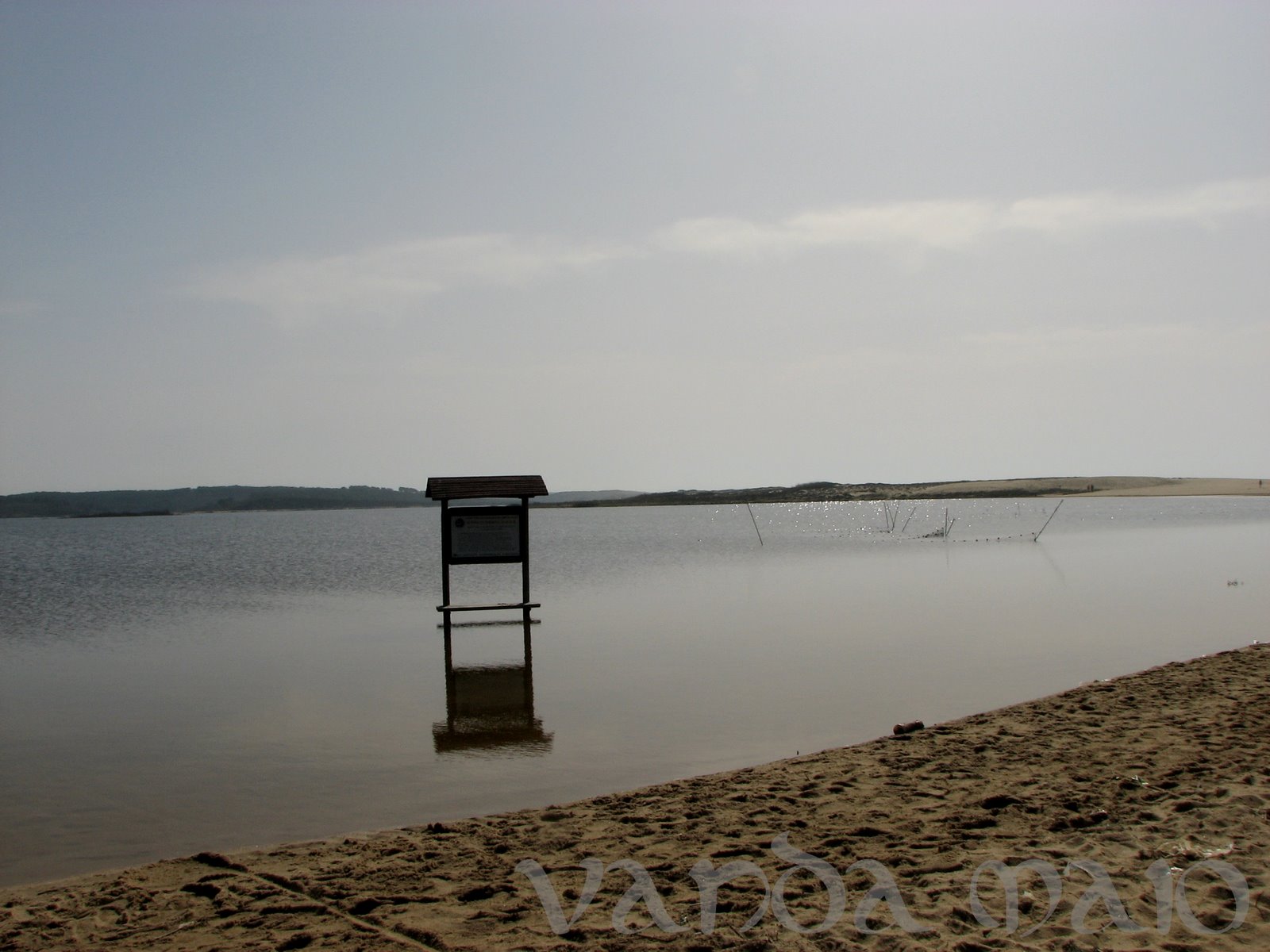 [IMG_5664.JPG]