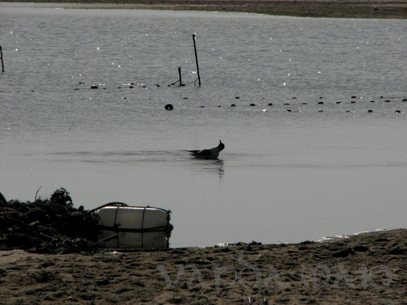 [IMG_5677.JPG]