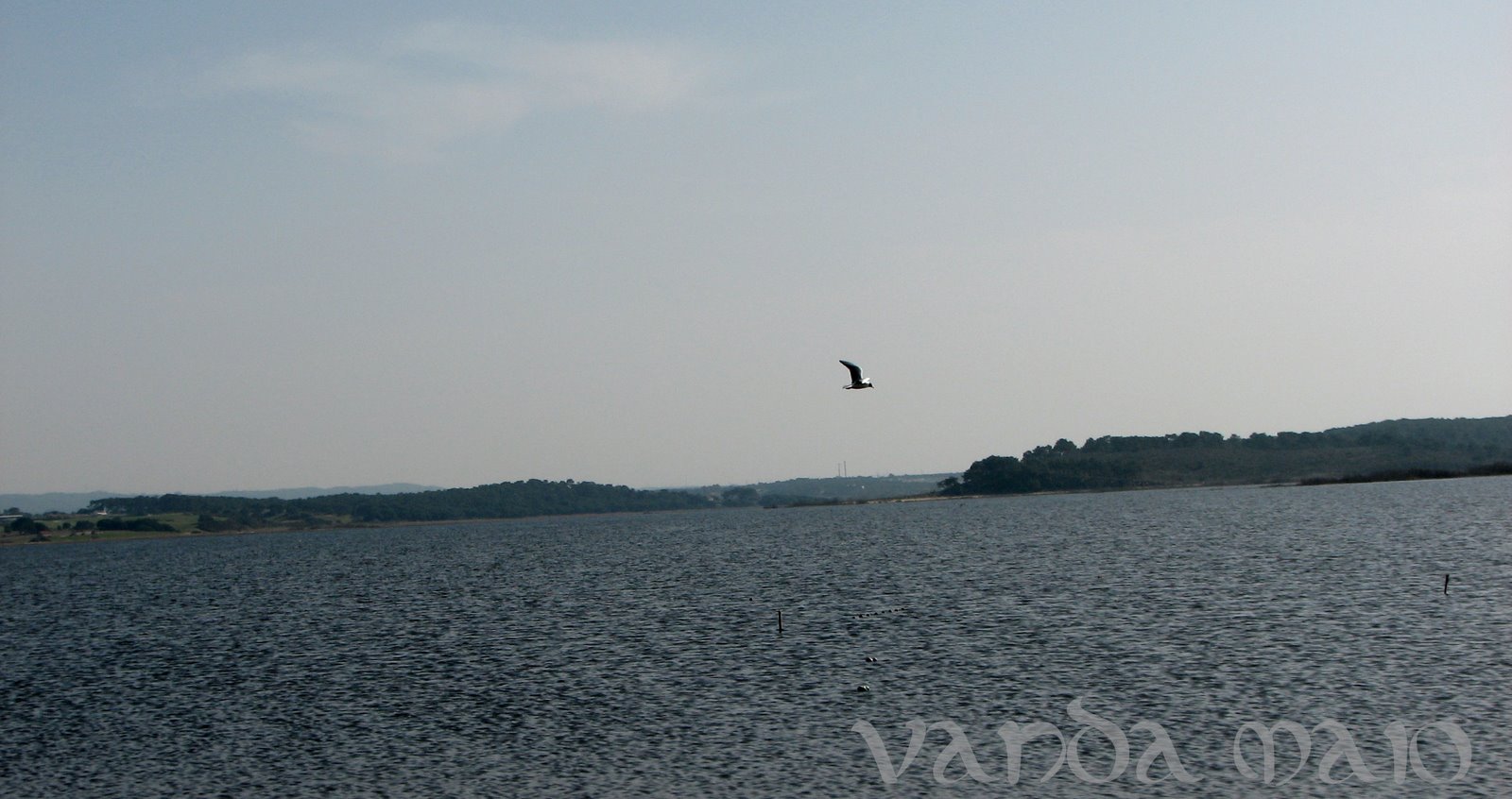 [IMG_5708.JPG]