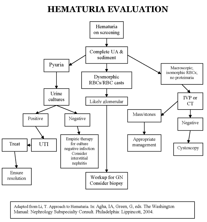 Medical World Hematuria