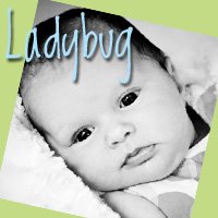 The Lil\