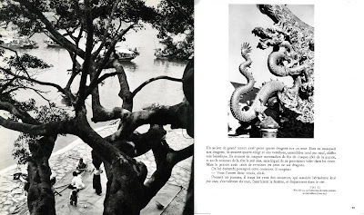 jean-louis roy ma rencontre avec un continent