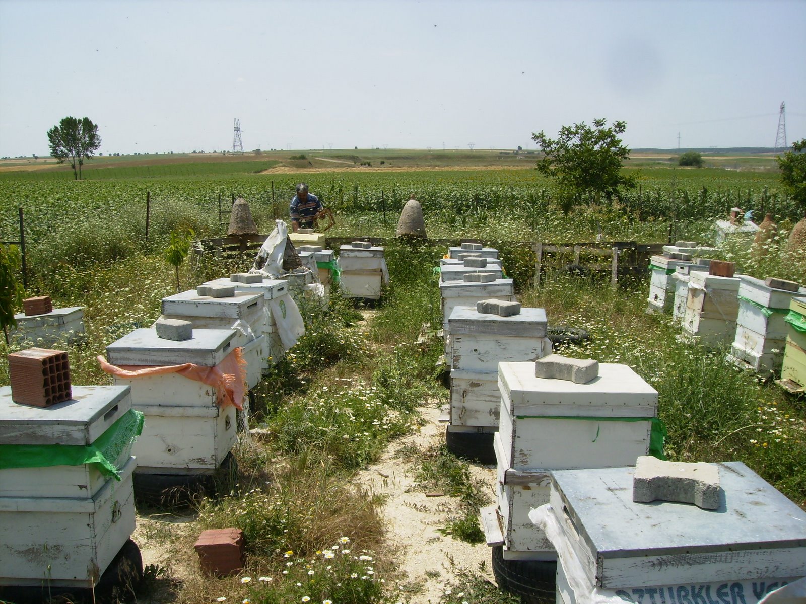 [P7020164.JPG]