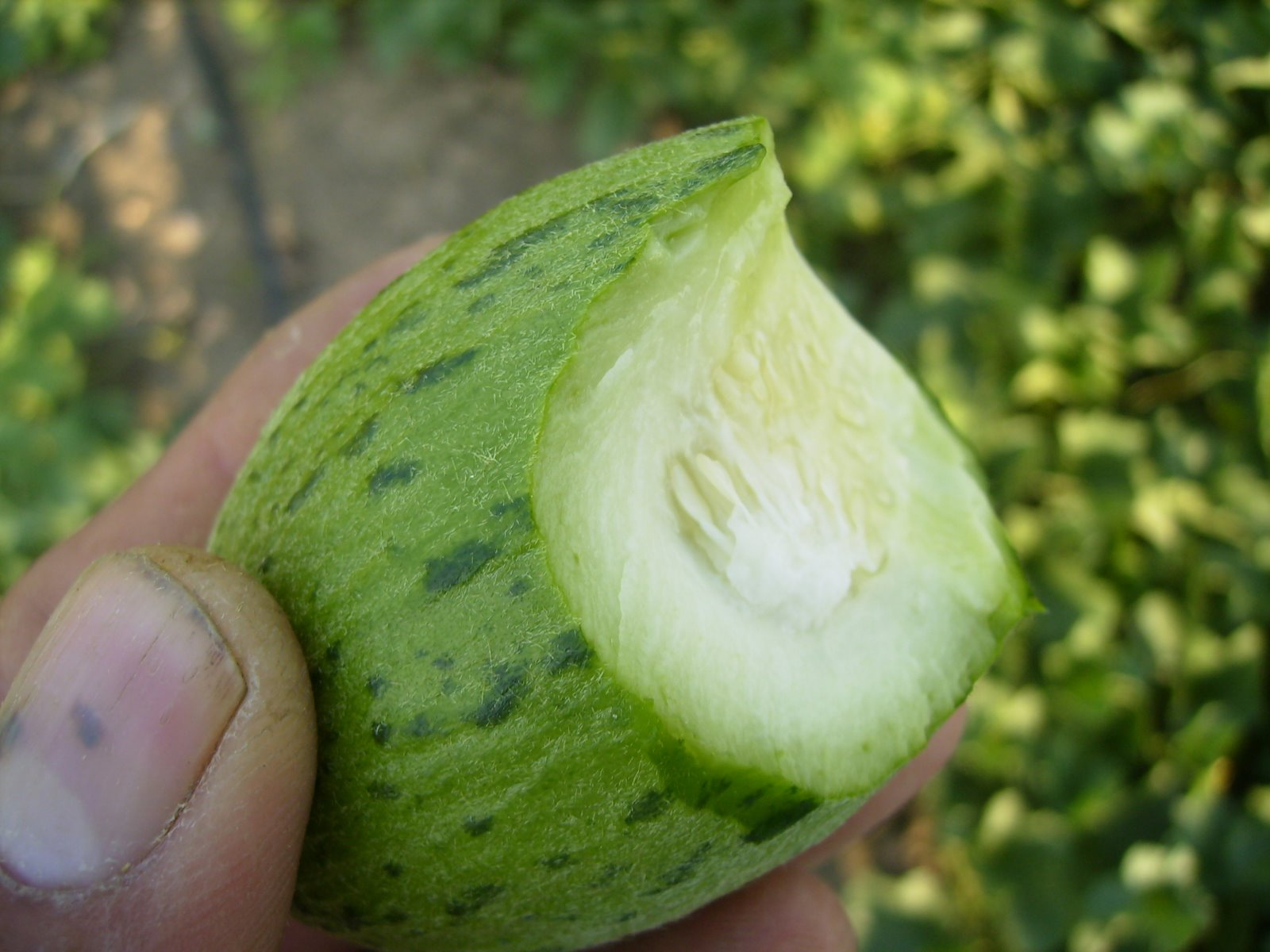 [P7190154.JPG]