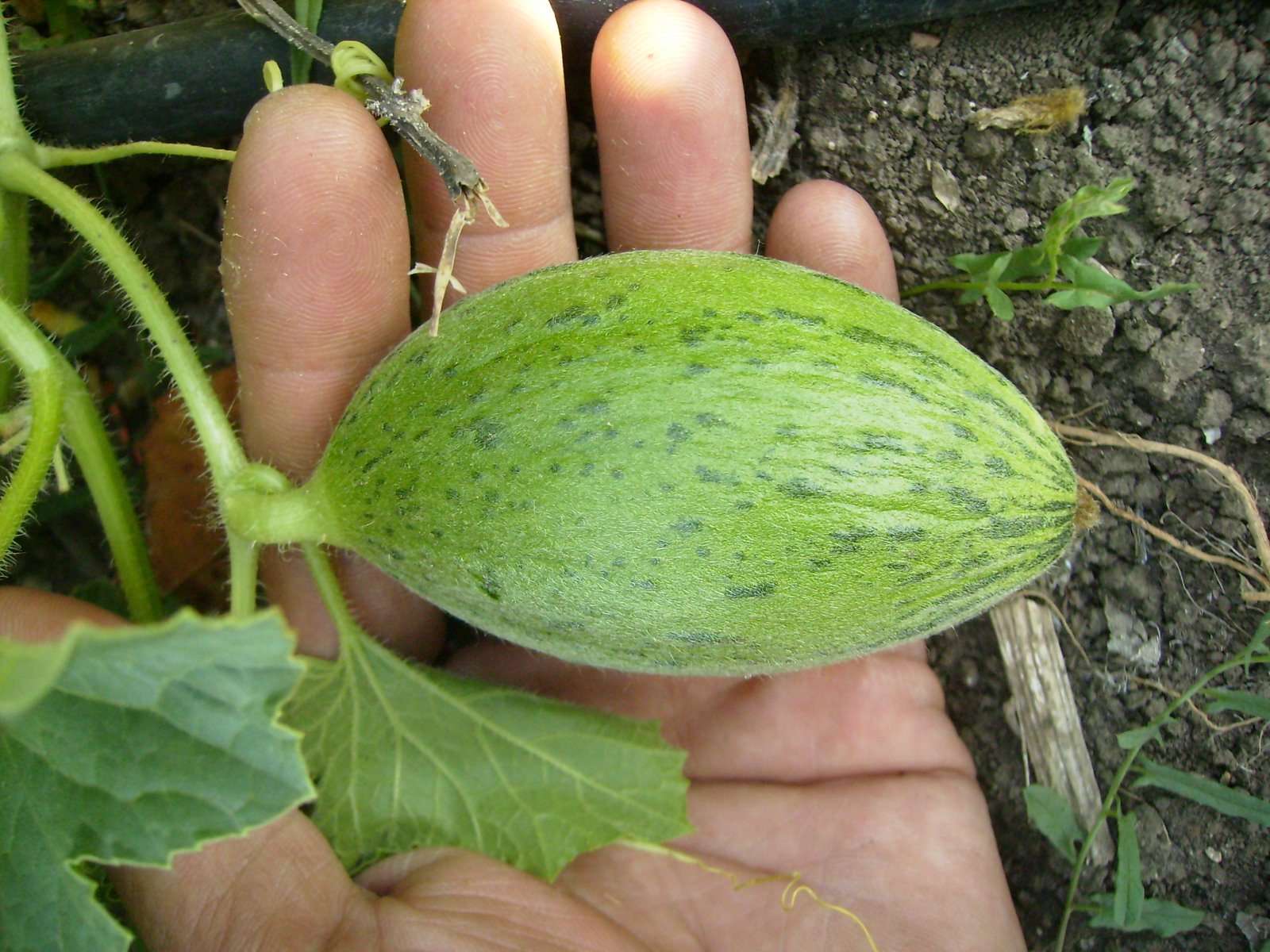[P7190151.JPG]