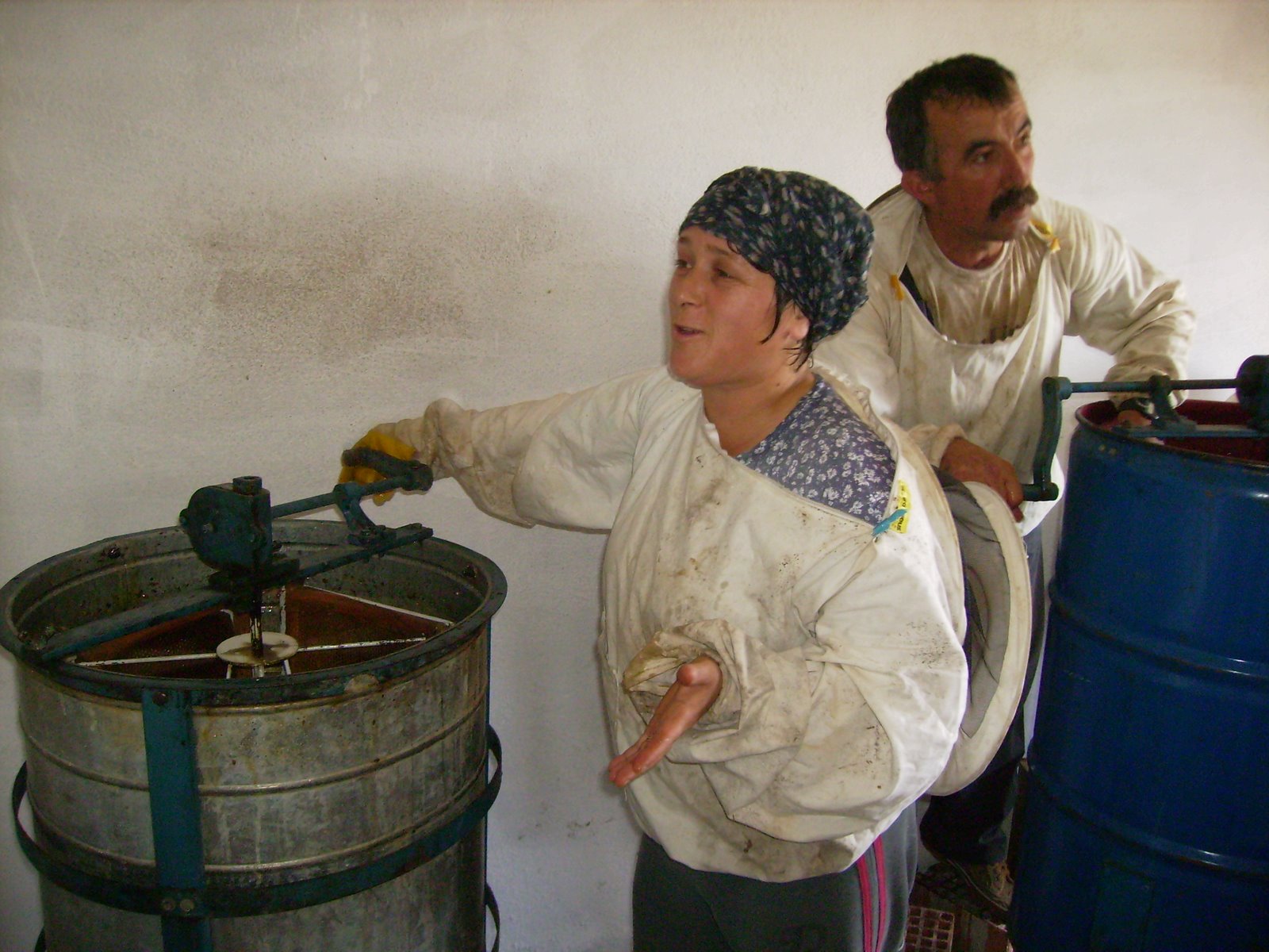 [P7190015.JPG]