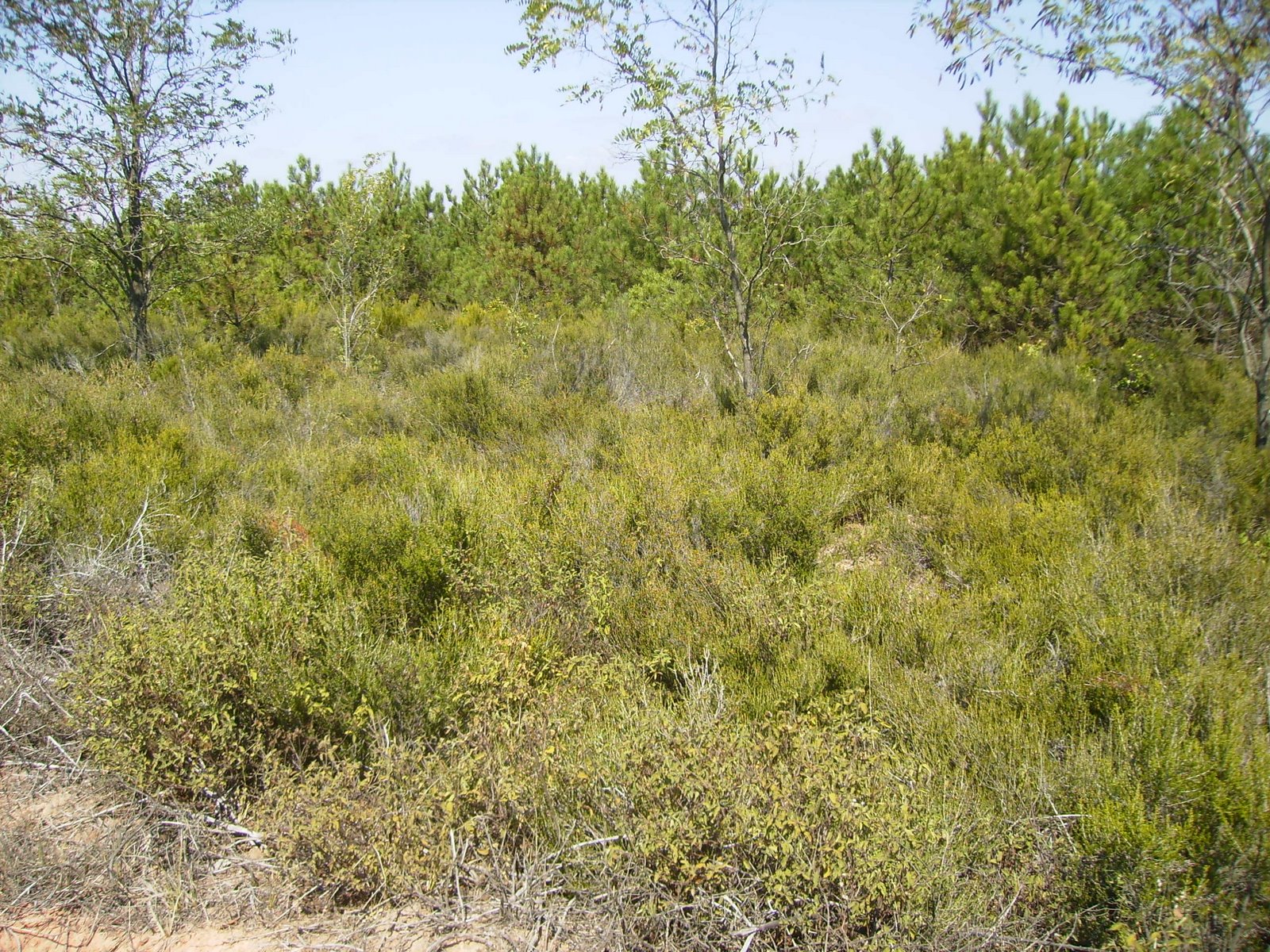 [P9050085.JPG]