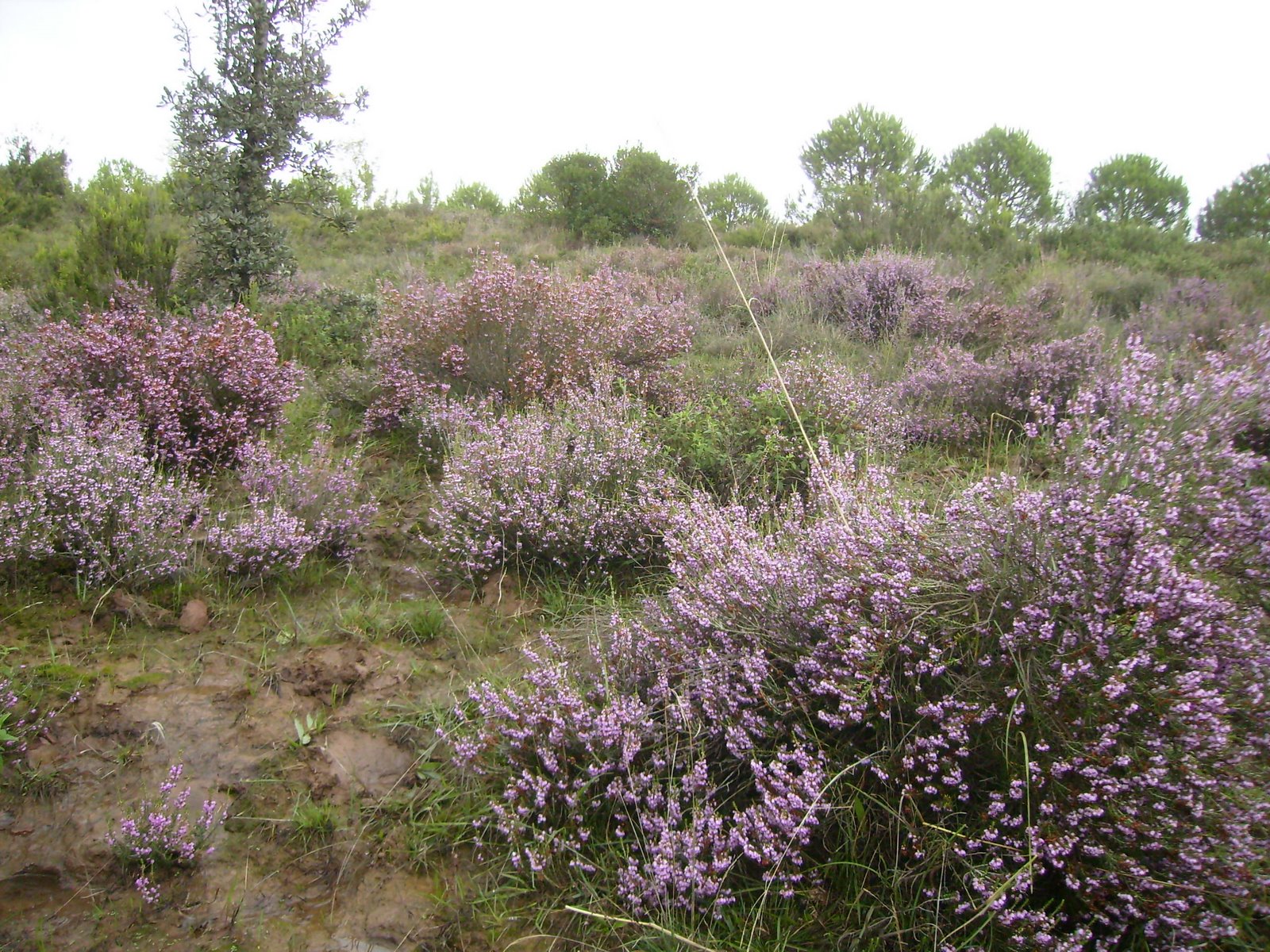 [P9260040.JPG]