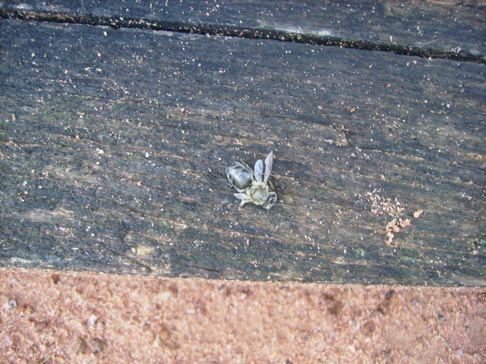 [P9190041.JPG]