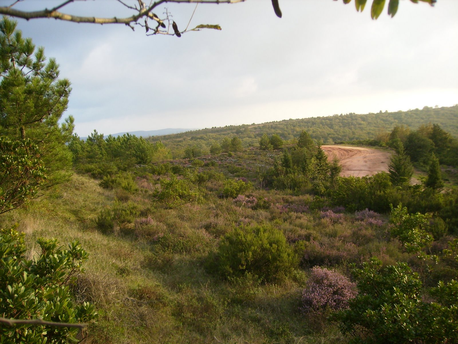 [PA090074.JPG]