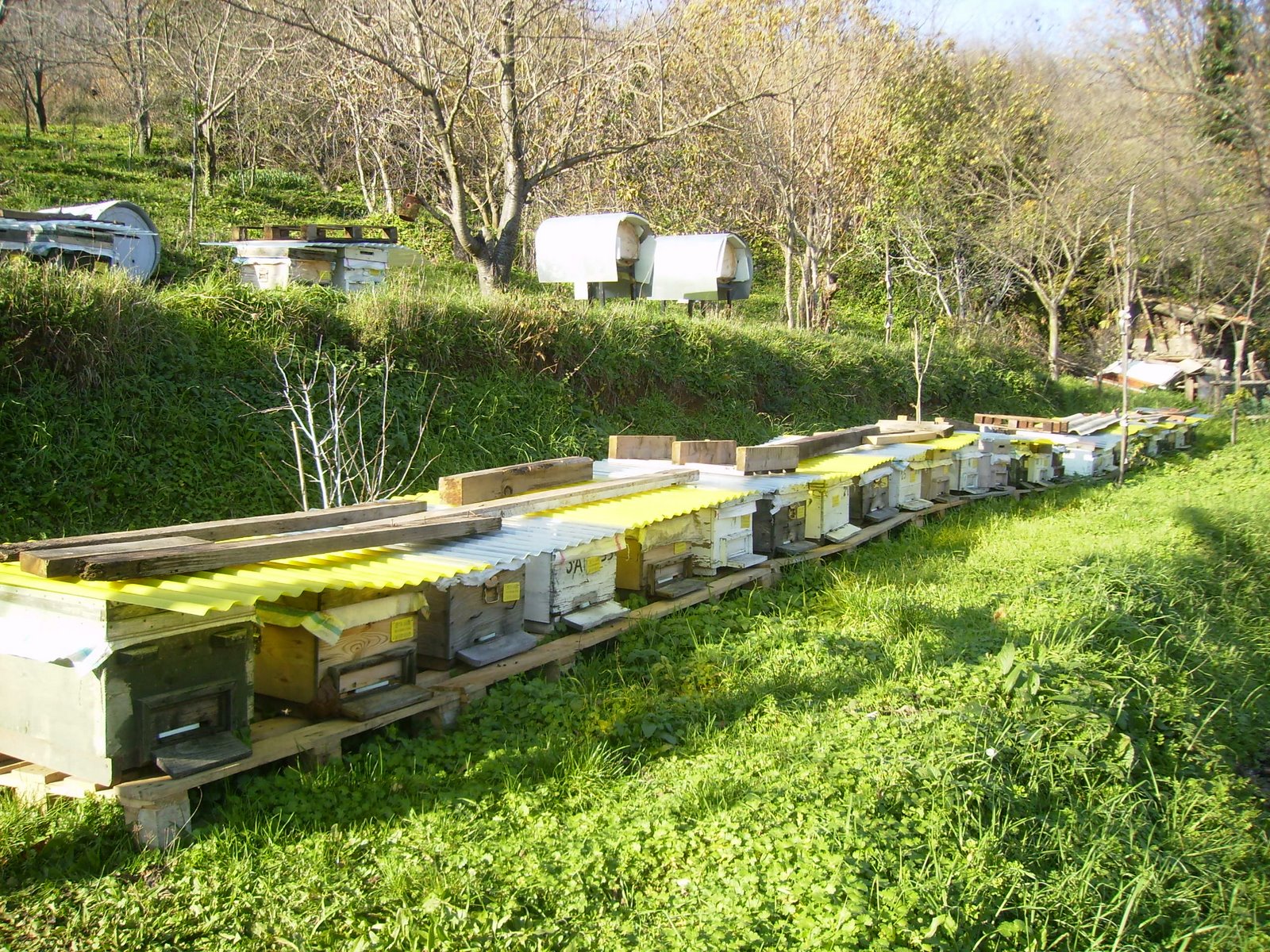 [PB300020.JPG]