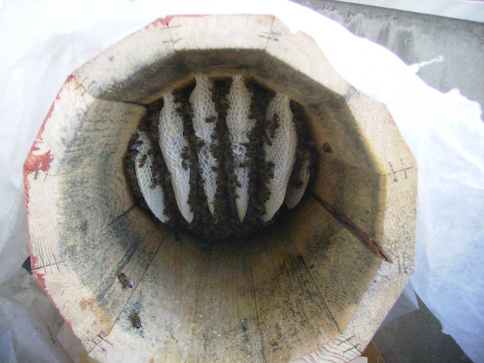[PC110034.JPG]
