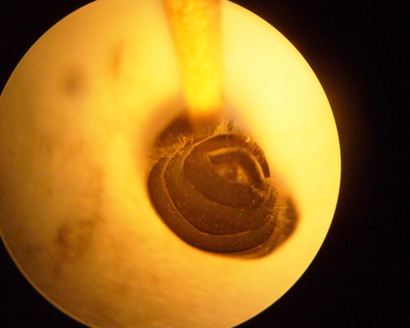 [Ä°Å Ã Ä°ARÄ°.JPG]