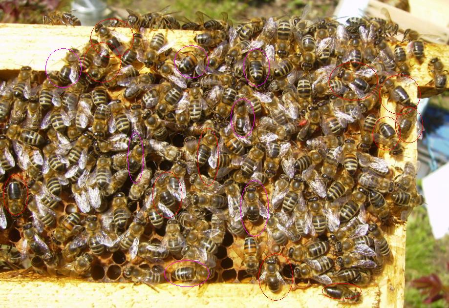 [27martkisarilari...JPG]