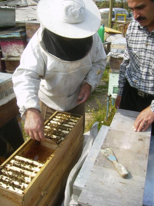 [6mayis200910.JPG]