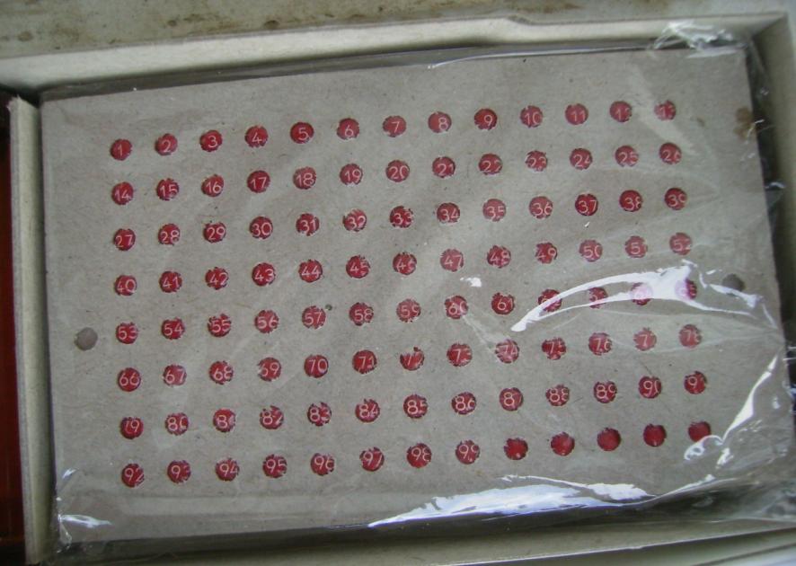 [8haziran200905.JPG]